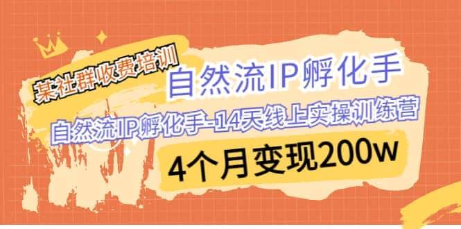自然流IP 孵化手-14天线上实操训练营 4个月变现200w第1张-极致技术工厂 自然流IP 孵化手-14天线上实操训练营 4个月变现200w